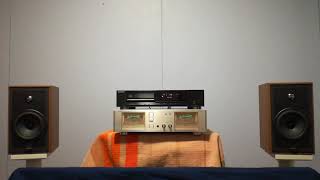 Modified Celestion 3 authority