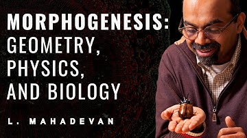 Morphogenesis: L. Mahadevan Public Lecture