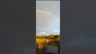 El Hornero Las Tunas Reconquista Santa Fe Argentina