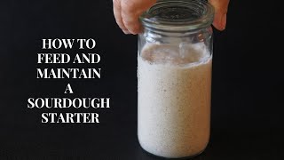 HOW TO FEED AND MAINTAIN A SOURDOUGH STARTER | Chef Rachida