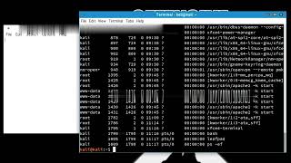 2.6.3.Process Control: ps and kill
