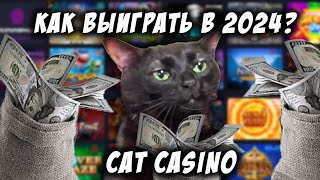 CAT CASINO  | ПРАВИЛЬНАЯ РЕГИСТРАЦИЯ | АКТУАЛЬНАЯ ССЫЛКА | ЛУЧШИЕ СЛОТЫ  В 2024