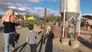 Peltzer Farms Pumpkin Patch