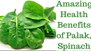 पालक के फायदे Benefits of Spinach in Hindi | पालक के फायदे उपयोग और लाभ हिंदी में- PALAK in Hindi