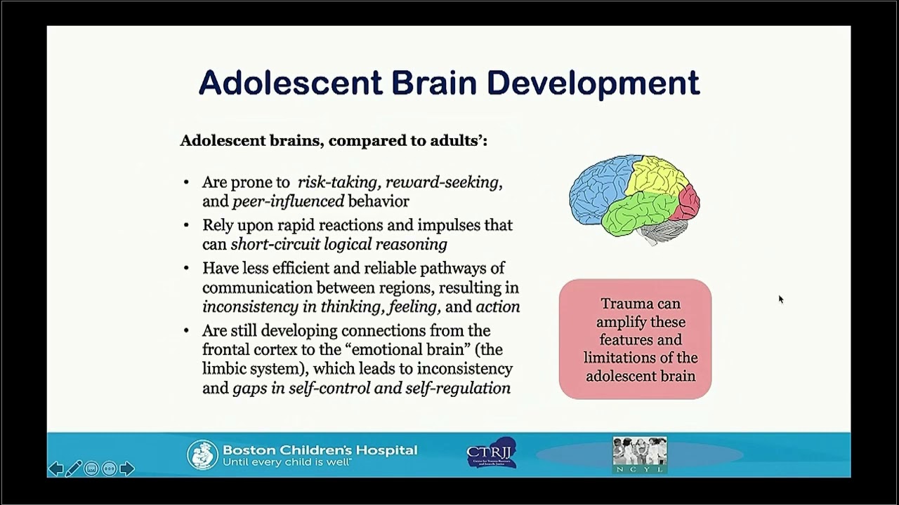 WEBINAR - A Trauma Informed Approach for Newcomer Immigrant Youth in ...
