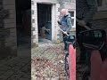 Autumn Nightmare