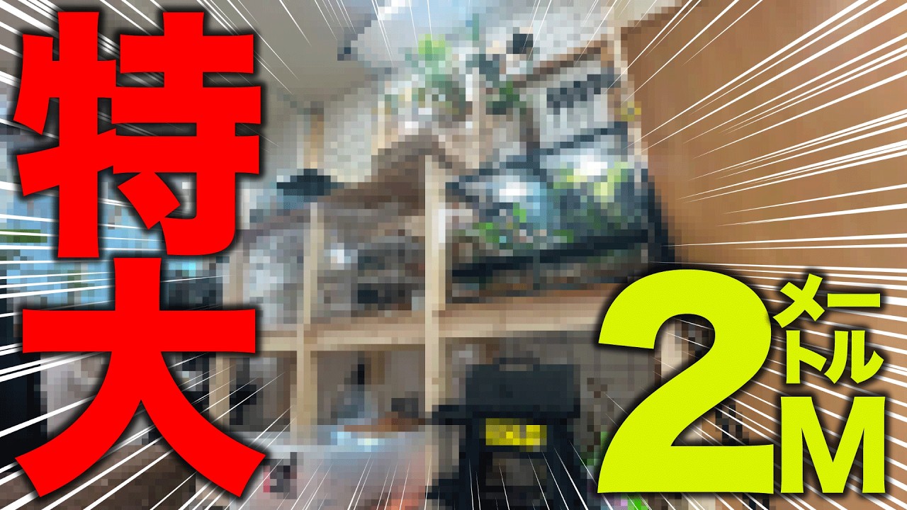 1万円あればお釣りがくる特大爬虫類ラックをDIYしたはいいものの賃貸の