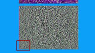 11CB455CD21DD5DD33AA64797756C6#2