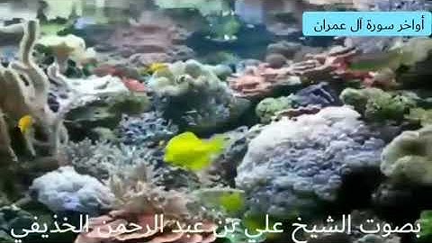 أواخر سورة آل عمران بصوت الشيخ علي بن عبد الرحمن الحذيفي