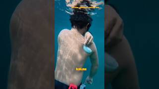 Kelihatannya Kecil… Tapi Ikan Ini Bisa Bikin Panik