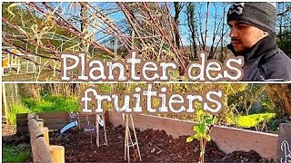 Comment planter des arbres fruitiers
