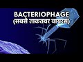सबसे ताकतवर वायरस, जो बदल सकता है पूरी दुनिया, The Bacteriophage Virus In Hindi
