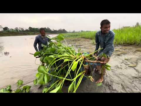 Treditional old fishermen new water best net fishing video 