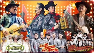 Los Tucanes De Tijuana, Los Tigres Del Norte, Los Huracanes Del Norte Mix 2024