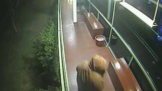 Police seek witnesses to aggravated robbery in Conder