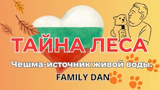видео: Болгария. Живая вода. Осень 2025 картинка: Болгария. Живая вода. Осень 2025