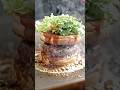 Mini berger Making Recipe #asmr #food #tinycolorfood #asmrcooking