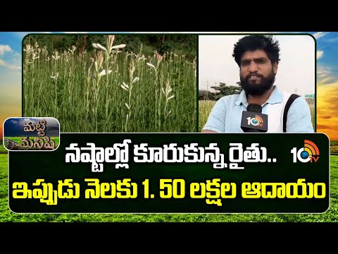 నష్టాల్లో కూరుకున్న రైతు.. ఇప్పుడు నెలకు 1. 50 లక్షల ఆదాయం | Farmer Failure To Success Story - 10TVNEWSTELUGU