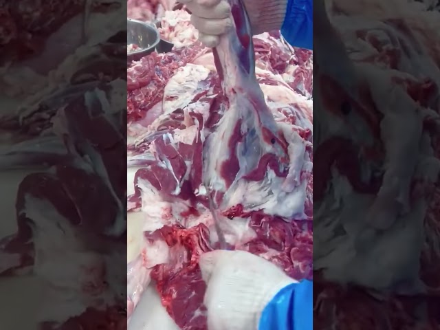 woow, amazing cutting meat #short 20 class=