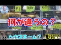 何が違うの？朱赤丹頂透明鱗ブラックリムメダカの比較！【形質？ハウスネーム？】＃８８ ～美心めだか～