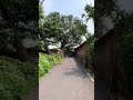 拍了整整一年 往返八次 才拍下老家门口这一棵大树的春夏秋冬 四季不停的轮回 像极了我们这短暂且忙碌的一生 乡愁记忆 童年回忆 四季轮回 故乡的原风景 拍了整整一年 往返八次 才拍下老家门口这一棵大树的春夏秋冬 四季不停的轮回 像极了我们这短暂且忙碌的一生 乡愁记忆 童年回忆 四季轮回 故乡的原风景