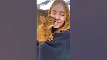 Тёплый приём оператора от абиссинской кошки Грейс 😽