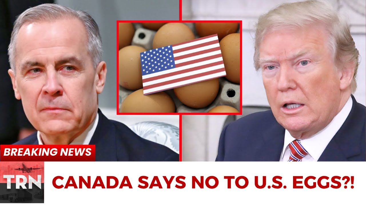 Trump Demands Tariffs, Canada Says NO to U.S. Eggs - Trump’s Trade War  BLOWS UP at Home