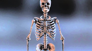 Skeleton Implosion - after effects + element 3d