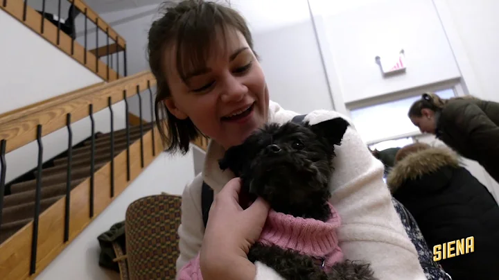 Dogs & Donuts, Spring Club Fair, Comedian Derrick ...