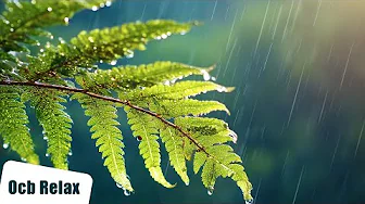 10 Hours of Relaxing Music & Soft Rain Sounds - Calming Piano Music for Sleep (Elsa)