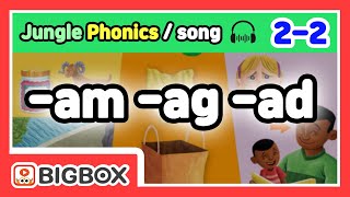 Phonics Song with Words | Alphabet Song for Kids | Single-Letter Sounds [Jungle Phonics #2-2]★BIGBOX