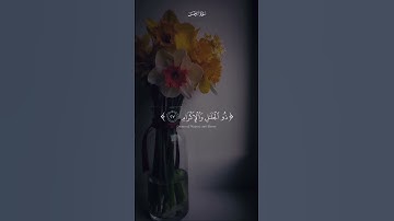 كل من عليها فان ويبقى وجه ربك ذو الجلال والاكرام #المنشاوي_الصوت_الباكى #سورة_الرحمن   #اكسبلور