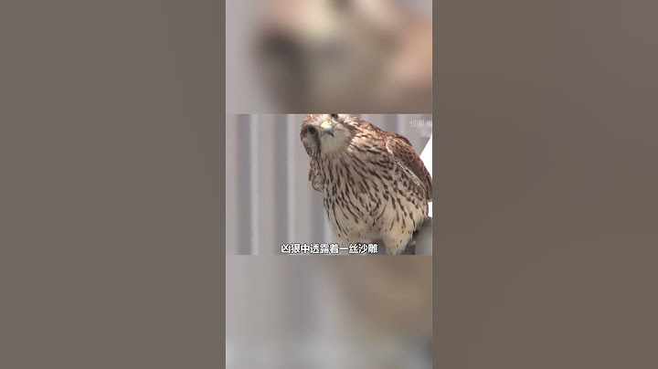 在这个小区开窗一定要开窗户，不然就会很危险！#Shorts