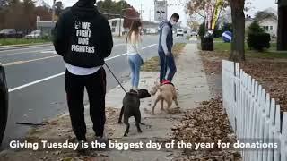 Giving Tuesday Fundrasier - $50,000 goal by New York Bully Crew 5,666 views 3 years ago 3 minutes, 4 seconds
