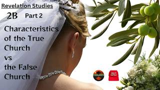 Rev 2B: False Church (Part 2) Characteristics of true church vs false