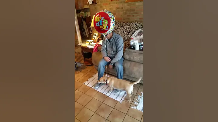 Wally and Balloon