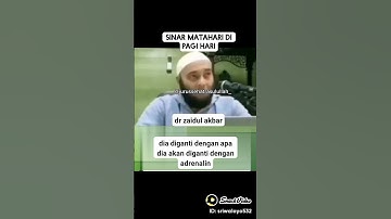 Dr zaidul akbar/ sinar matahari pagi