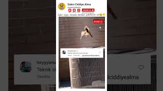 Sabri Reyiz Havada Durdum Şahitlerim Var Birbirinden Komik Instagram Yorumları.