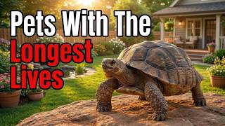 12 Pets That Live The Longest Lives