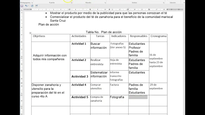 Construir tabla plan de acción y cronograma de actividades