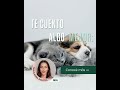 LOKAL - Argumento 6