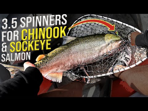 Fishing 3.5 Spinners for Salmon on the Columbia River! 