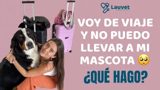 ¿QUÉ HAGO CON MI MASCOTA SI ME VOY DE VIAJE?  Lauvet