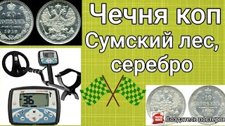 Коп Чечня Сумский лес! царское серебро! 705 хтерра