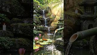 Peaceful Piano & Water Sounds 🍃 Stress Relief & Deep Relaxation #shorts