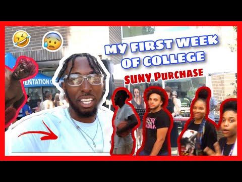 SUNY PURCHASE MY FIRST WEEK OF COLLEGE ???‍?‼️#PRANKS #COLLEGE #HIGHSCHOOL