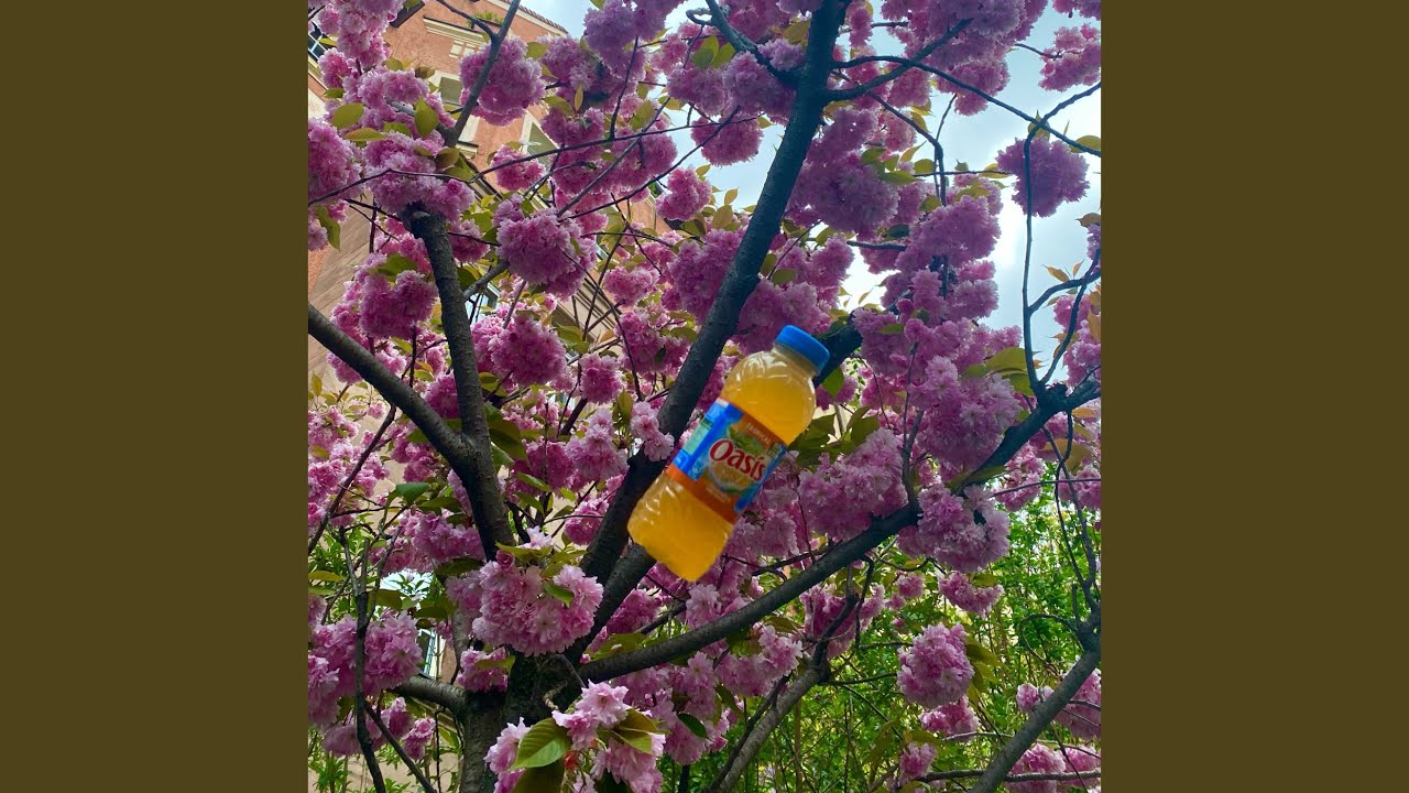 Watch Oasis on YouTube Watch Oasis on YouTube