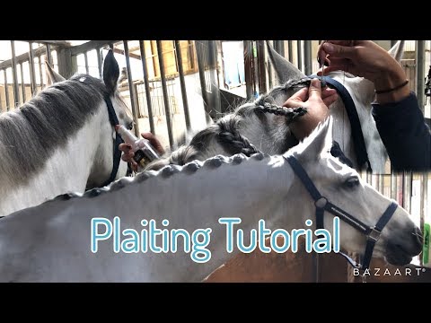 Mane intreccio TUTORIAL ~ (e fare il bagno)