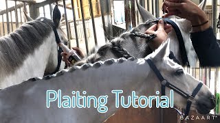HORSE MANE PLAITING TUTORIAL ~ (and bathing) screenshot 3