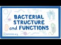 Bacterial Structure and Function in Health and Disease